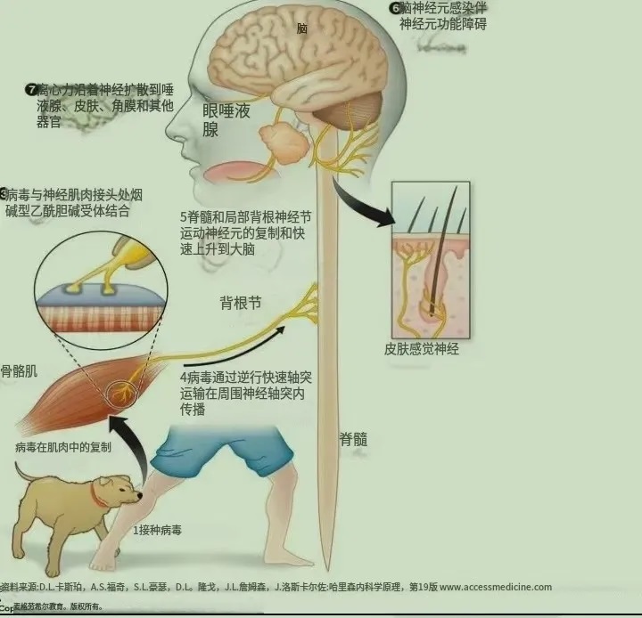 640_wx_fmt=png&from=appmsg&tp=webp&wxfrom=5&wx_lazy=1&wx_co=1