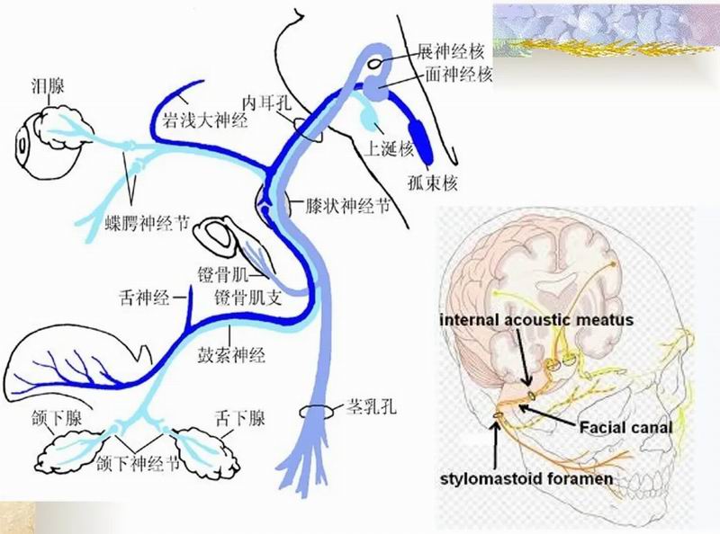 640_wx_fmt=png&from=appmsg&tp=webp&wxfrom=5&wx_lazy=1 (12)