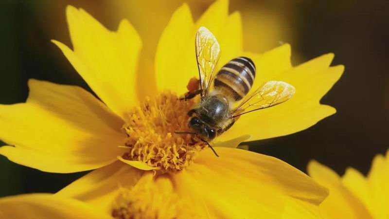 640_wx_fmt=png&from=appmsg&tp=webp&wxfrom=5&wx_lazy=1 (8)